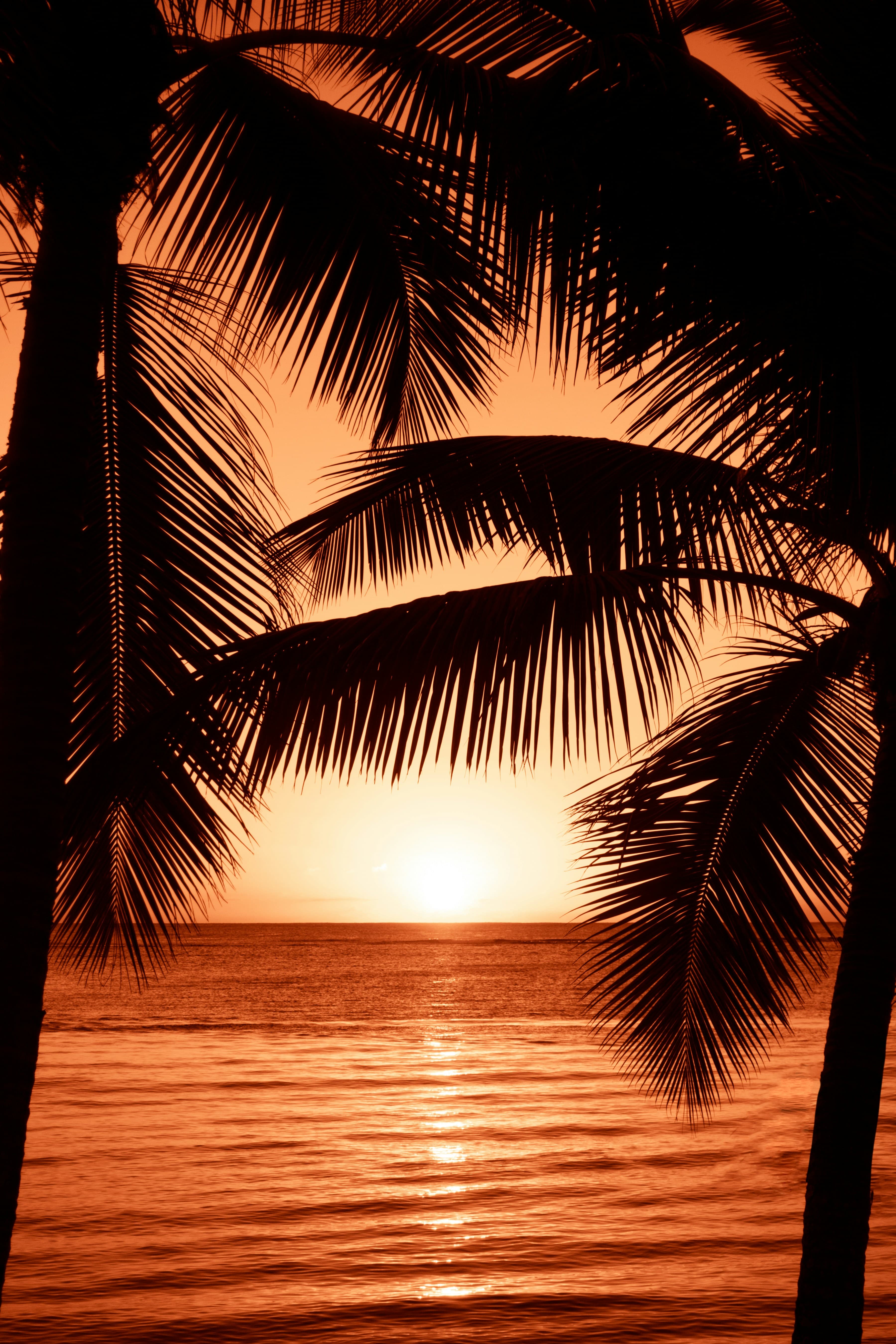 Sunset at the beach